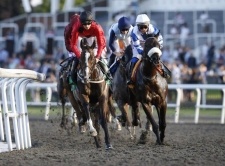 Betting Long Shots at The Race Track