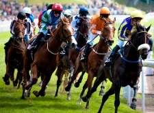 Off Track Betting Nevada