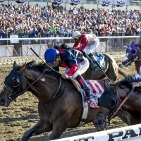 Belmont Park Race Track