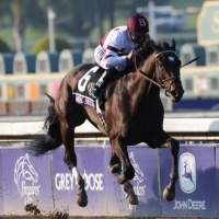 Breeders' Cup Distaff
