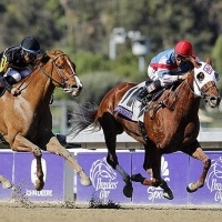 Breeders' Cup Filly And Mare Sprint