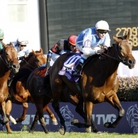 Breeders' Cup Mile