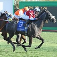 Turf Paradise Racetrack