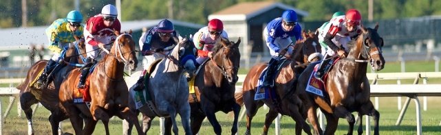2017 The Whitney Stakes Picks