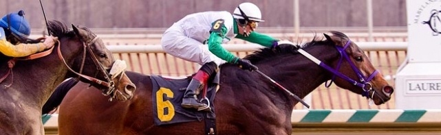 2018 Gotham Stakes Odds, Picks