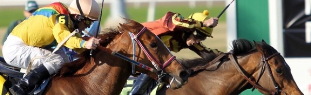2018 Louisiana Derby Odds, Picks
