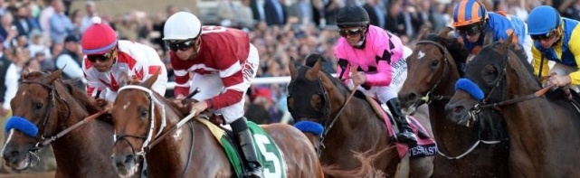 2018 Pegasus World Cup Picks