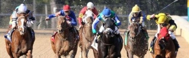 2018 Southwest Stakes Picks