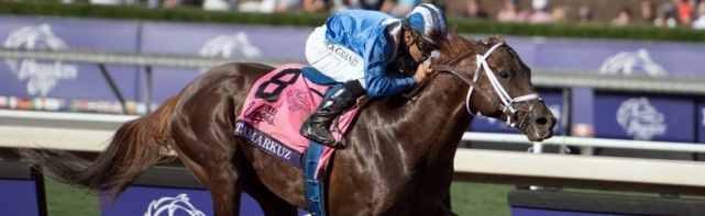 Breeders' Cup Dirt Mile Picks 2017