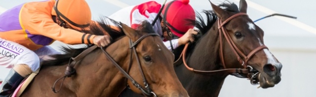Breeders' Cup Distaff Odds: Preview And Future Bets