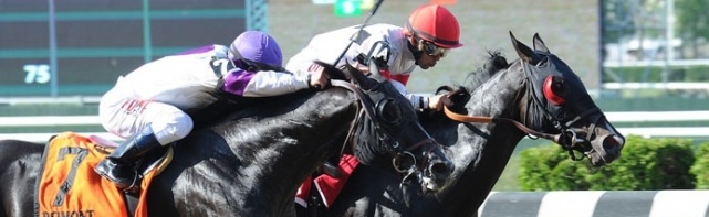 Jockey Club Gold Cup Stakes Picks