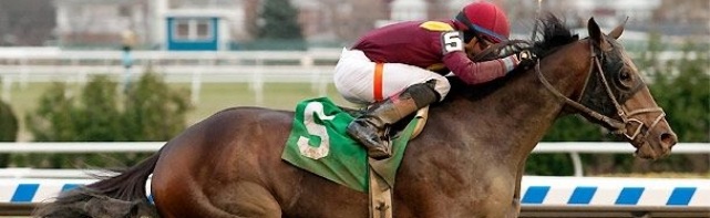 Sam F. Davis Stakes Picks 2018