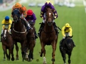 Breeders' Cup Filly & Mare Turf 2018 Odds